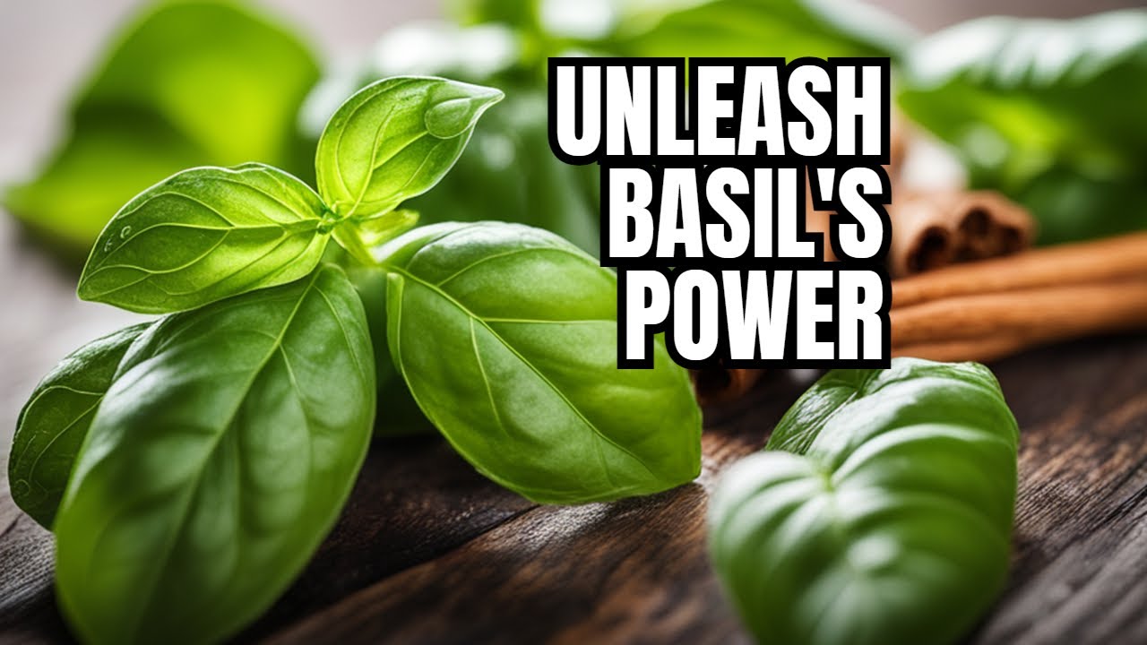 Basil Power Find Out How Basil Can Transform Your Health: The Ultimate Healing ...