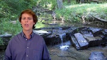 My Eco Footprint 2 of 5