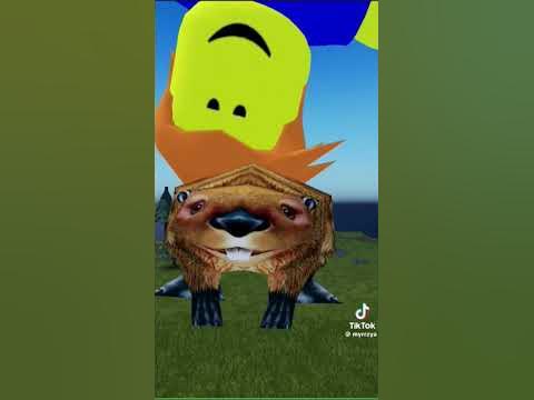 бобр огромный бобр - YouTube