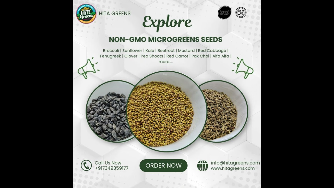 Non Gmo microgreens seeds Available