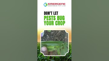 Protect your crops from pesky pests with our natural pest control solutions | Emergene Fertilizers