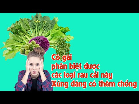 Video: Có Bao Nhiêu Loại Bắp Cải