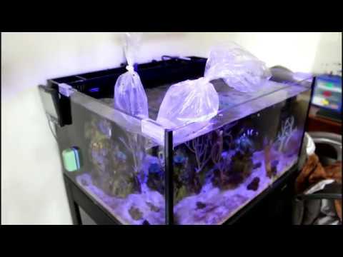 video phone beyonce mp3 ReefCleaners Unboxing