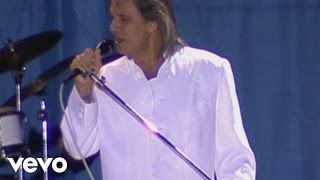 Roberto Carlos - Amor Perfeito (Vídeo Ao Vivo) chords