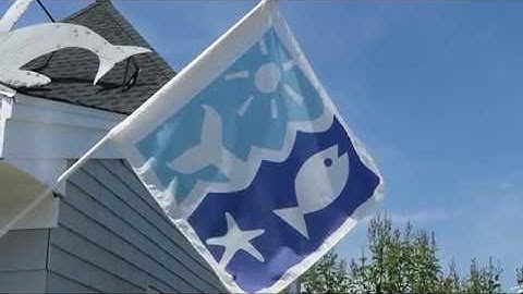 Seacoast Science Center Corporate Video