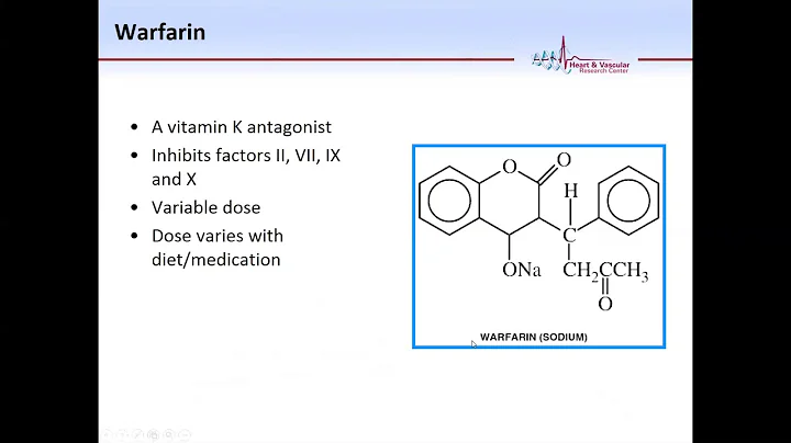 Atrial Fibrillation by Dr  Kaufman