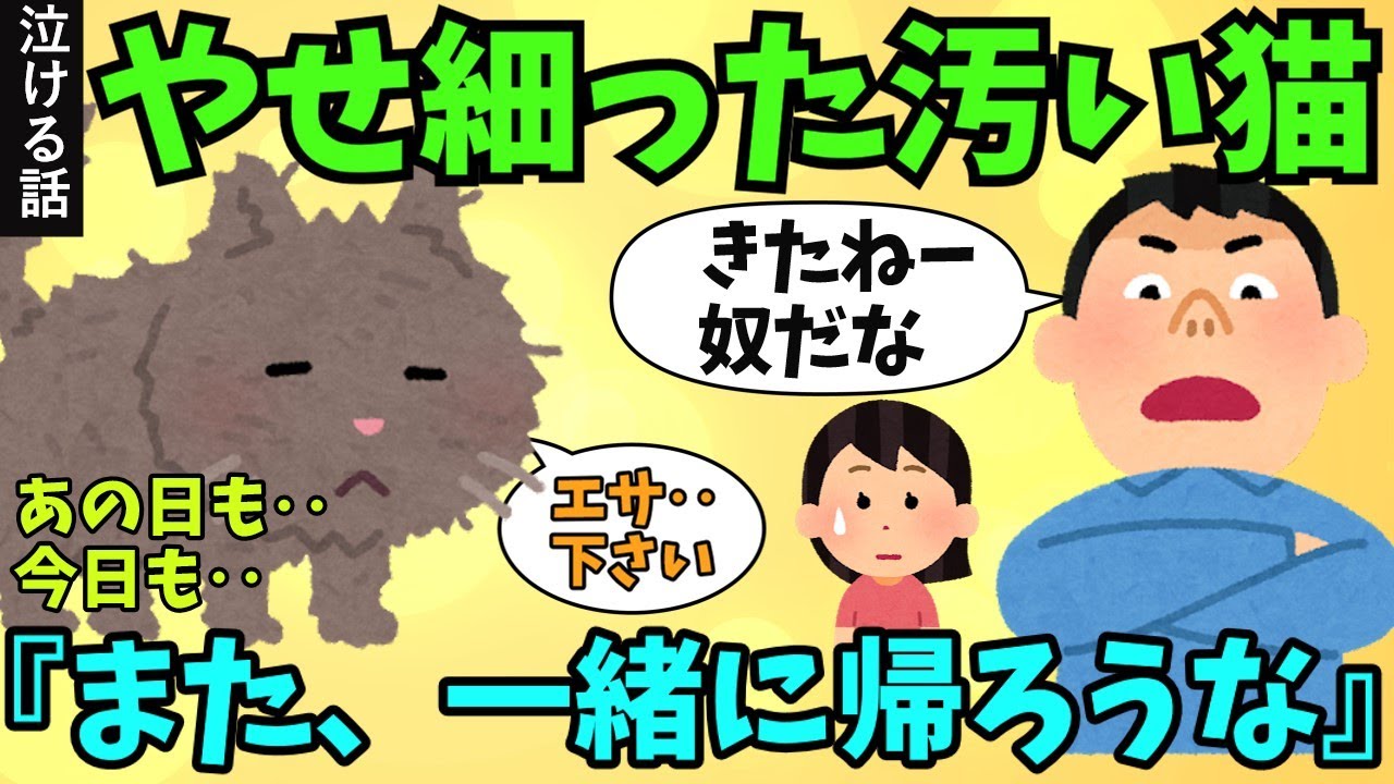 あの日拾った捨てネコと、最後のドライブ 【 犬 猫 泣ける話  涙活 感動する話 号泣 実話 】 #2ちゃんねる  #2ch面白いスレ #2ch