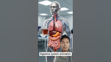 What Happens Inside Your Body After Drinking Tea ☕ | 3D Animation #Shorts