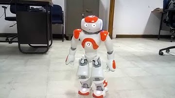 Random tests on NAO Humanoid Robot - Mechatronics Lab IIT Guwahati