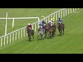 Posted: The 2020 Fortune Stakes