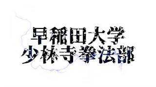 早稲田大学少林寺拳法部 早稲田大学少林寺拳法部