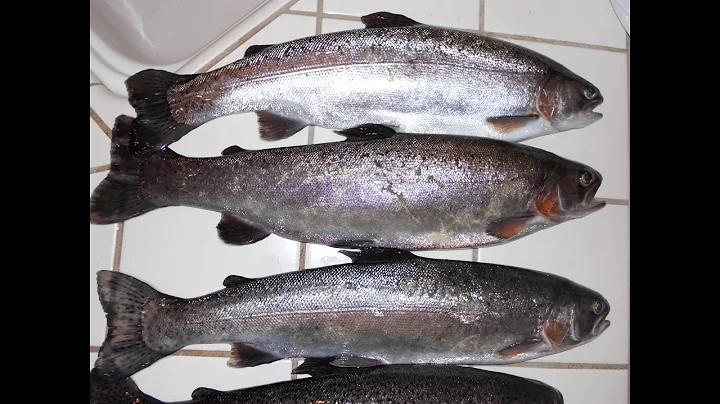 Project 03-28_4K_MEDIUM_FR30.mp4