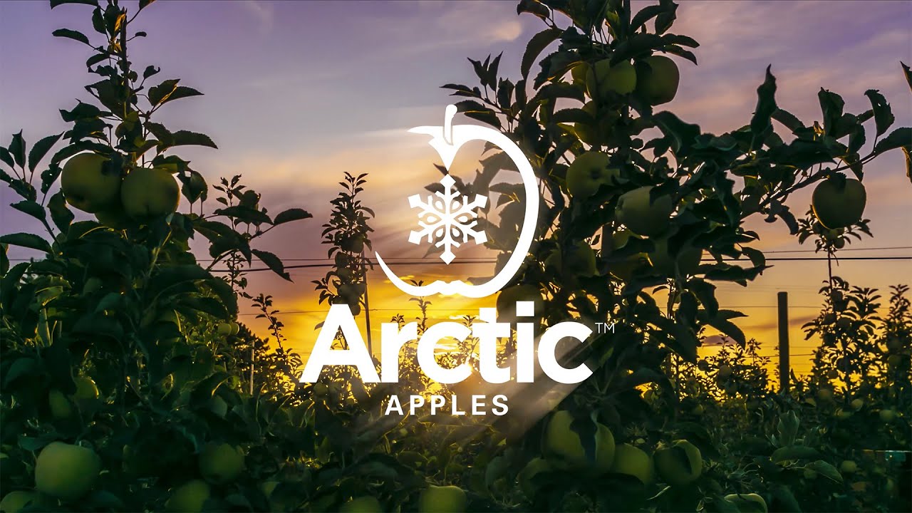 Brand Story Video Production Company in Seattle | Video Marketing for Agriculture and Biotech