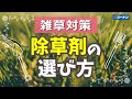 【雑草対策】除草剤の選び方【コーナン】