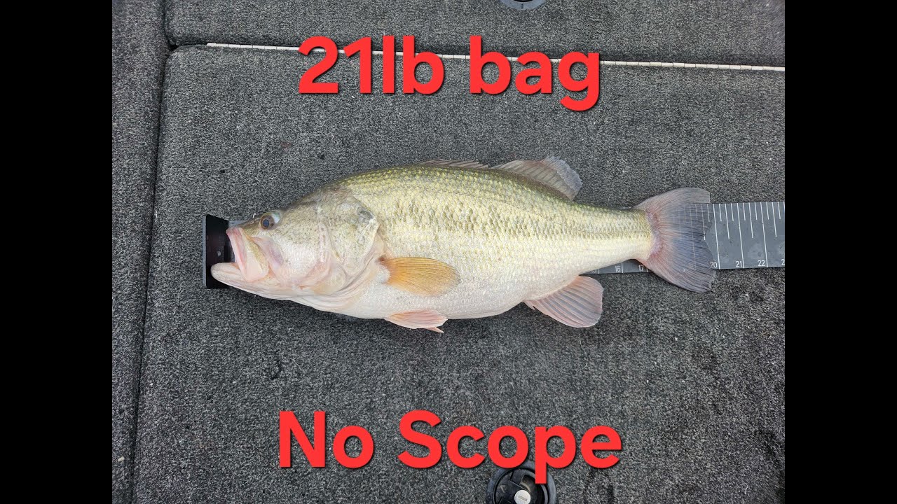 21lb bag off a Wacky Jig West Texas Bass Fishing