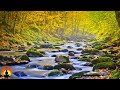 🔴 Healing Waters - Relaxing Music 24/7, Meditation Music, Sleep Music, Study Music, Calming Music