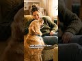 Stop Training Your Dog. Do THIS Instead (Dog Psychology Secret) #shorts