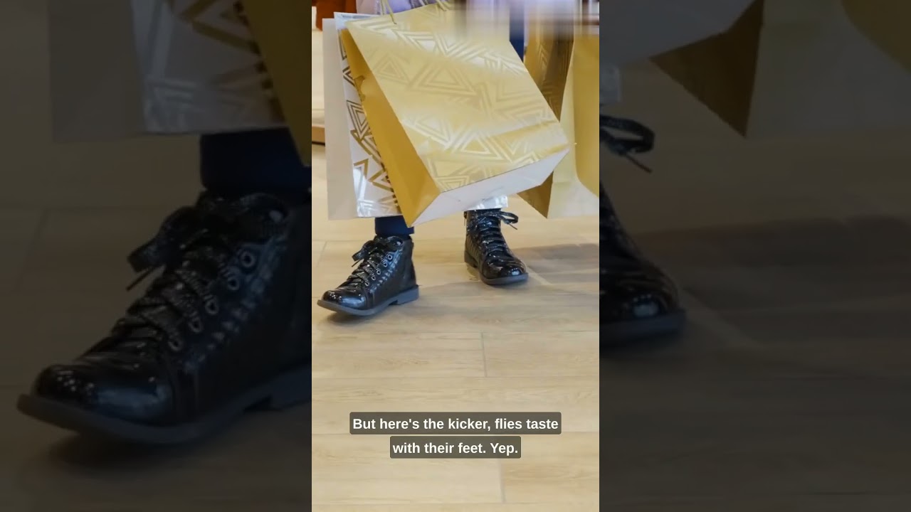 "Buzzing Marvels: Unveiling Fascinating Fly Facts in Under 5 Minutes!" 