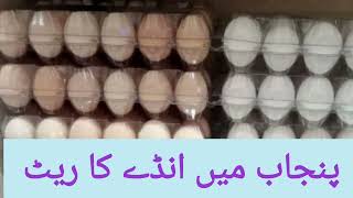 Punjab Egg Sale Rate