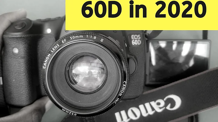 Is canon 60D still Good in 2020?