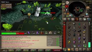 WORLDS LARGEST COX DUO (6 DROPS RAID, 40hrs!!)