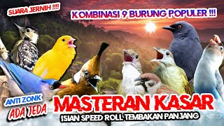 Download Lagu #6 MASTERAN MURAI BATU TEMBAKAN KASAR - KOMBINASI 9 ISIAN BURUNG MEWAH TERBAIK! MP3 Download Lagu #6 MASTERAN MURAI BATU TEMBAKAN KASAR - KOMBINASI 9 ISIAN BURUNG MEWAH TERBAIK! MP3