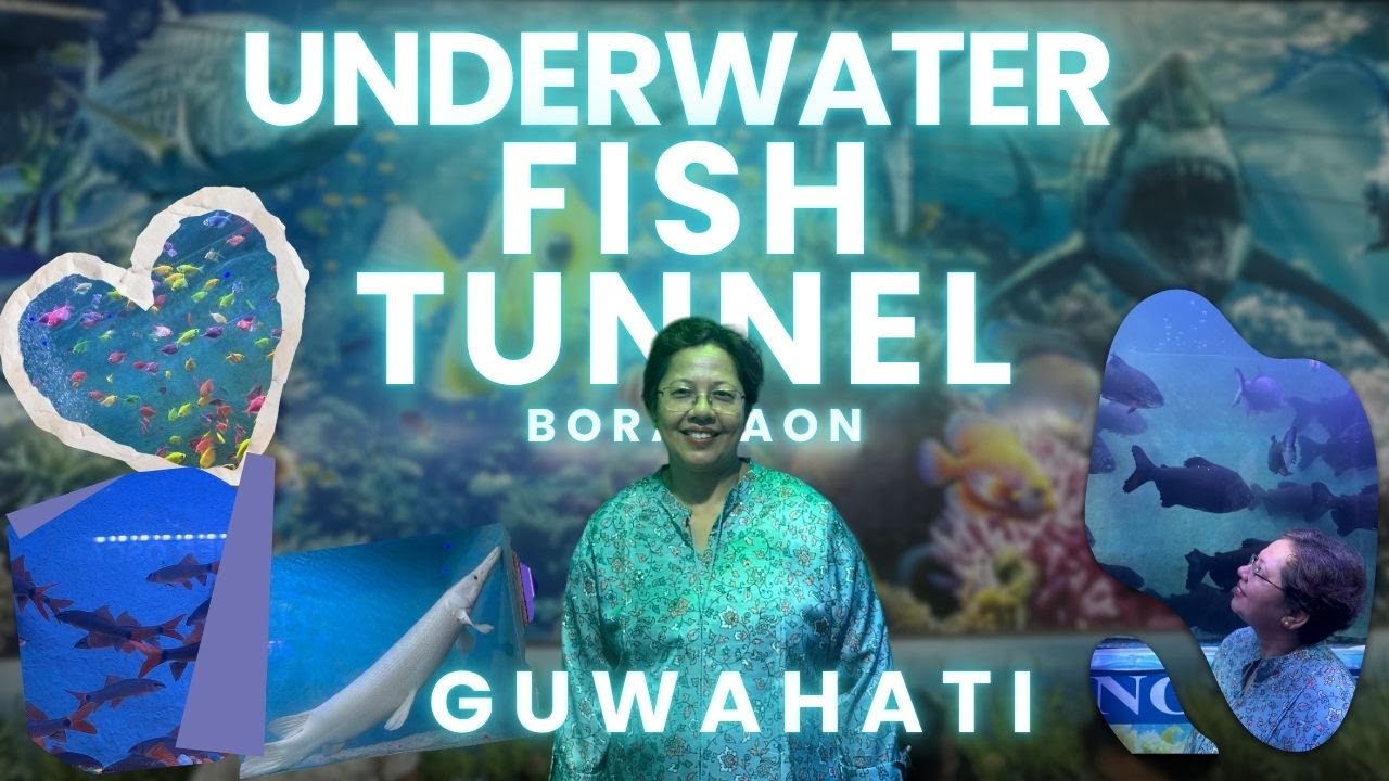 Seaworld carnival  fish tunnel boragaon Guwahati 