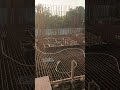 Machine Foundation final slab casting (M40-350m3)#construction #civilengineering#building #concrete