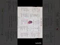 complete Heart revision just in 10sec ❤️✨👩⚕️ #bscnursing #aiimsnorcet #norcet #gnm #nursingstudent