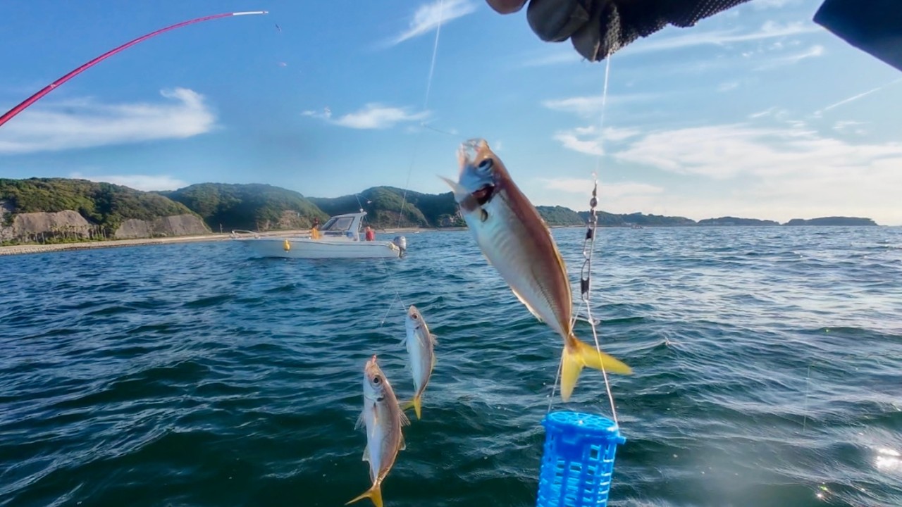 アジの入れ食いが止まらない、からの泳がせ釣りで狙う大物