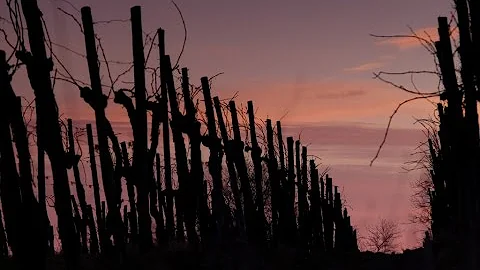 Dove andare domani in Friuli?