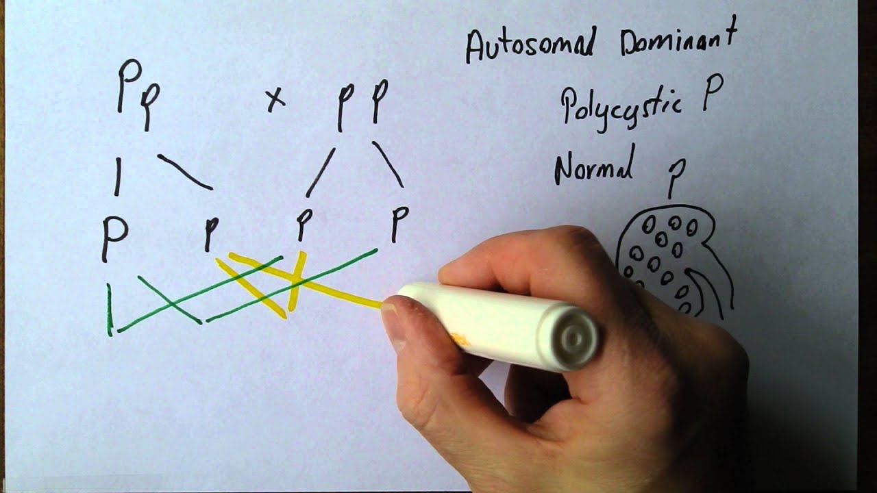 In Autosomal Dominant Inheritance Cgi Current Frame