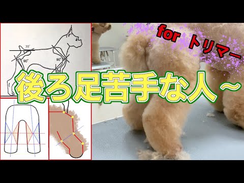 #40 【後ろ足】早く切るコツ