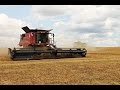 Case IH Axial-Flow 9230 &amp; Claas Lexion 770 | Harvesting Pea | Combine Harvester Show | Farming