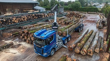SCANIA R770 V8 BLUE STREAM 🚚💨 🌲 GRUMIER FRIEDERICH (TRANSPORTS CLERC ROMUALD )