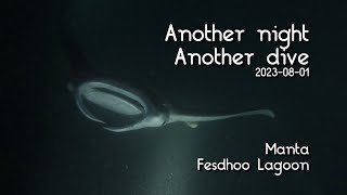 Liveaboard night dive with Mantas at Fesdhoo Lagoon Maldives, 4k 60fps GoPro