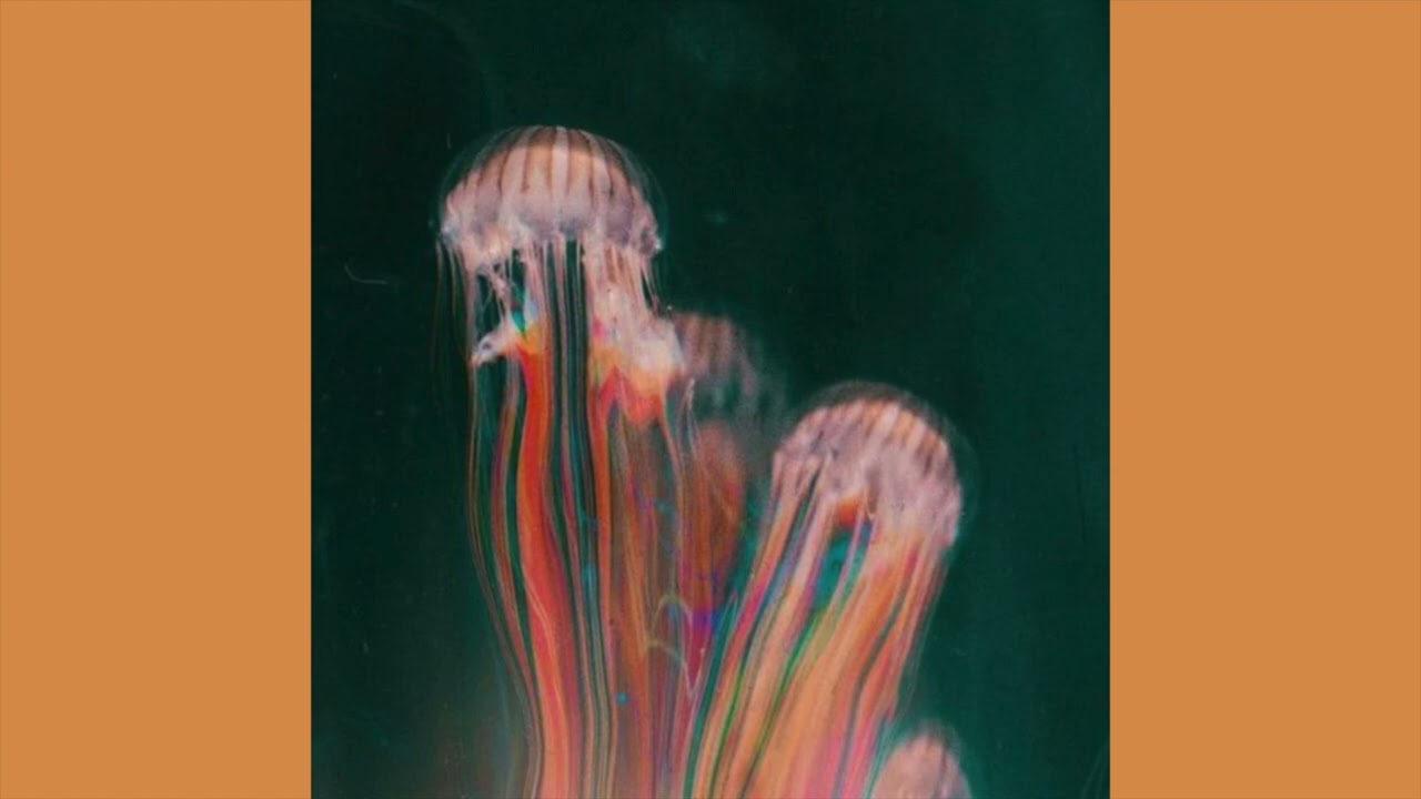 [FREE] Clairo x Alternative R&B x Soul Type Beat - "So fly"