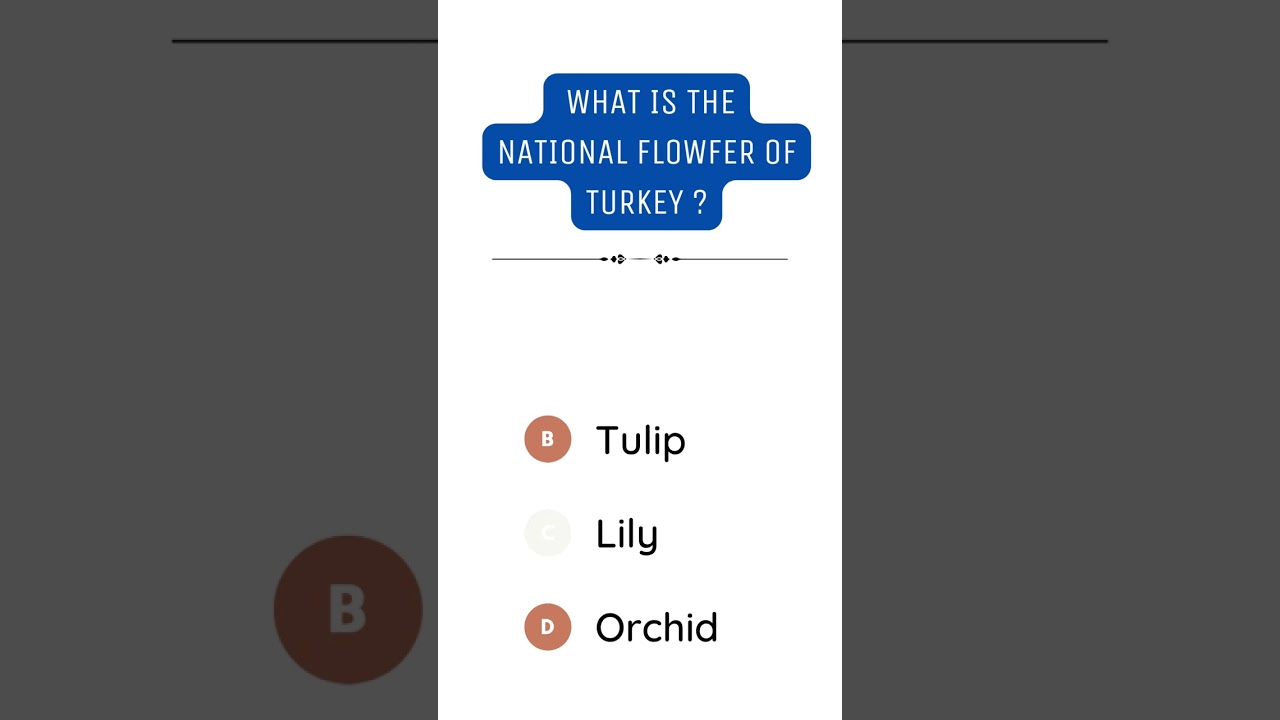 Turkey National Flower 