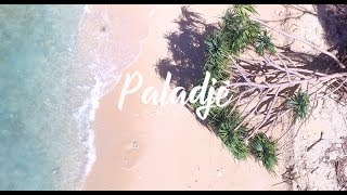PALADJE - "Cinthia" (clip officiel) chords