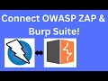 OWASP ZAP 19 Tutorial: Boost Your Pen Testing: Connect OWASP ZAP &amp; Burp Suite!