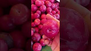 fruits freshly plums beautiful tasty shorts 