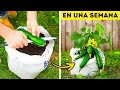 101 Geniales Trucos de Jardinería para Transformar Tu Espacio Verde 🌱