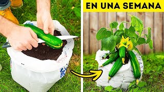 101 Geniales Trucos de Jardinería para Transformar Tu Espacio Verde