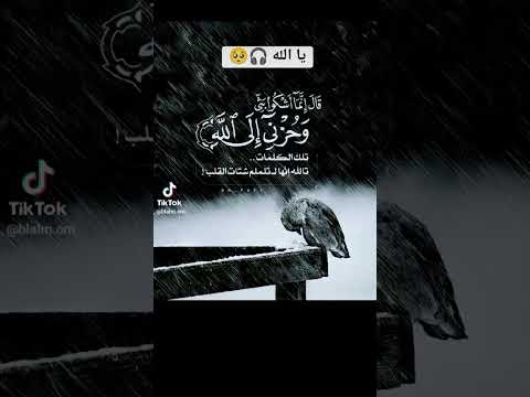 القران يصئ القلوب