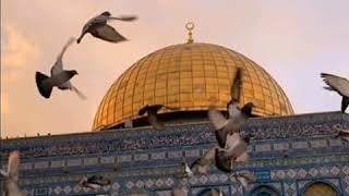 قصيدة  القدس لنزار قباني /إلقاء : الطالبة منى نضال