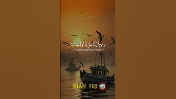 سورة_الفلق #قرآن #quran #قران_كريم #اكسبلور #تيك_توك #راحة_نفسية #حالات_واتس #لايك #دويتو