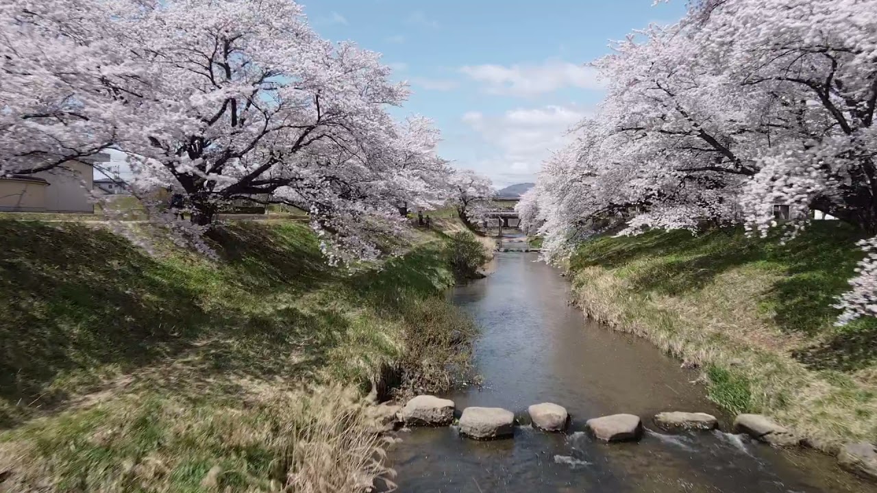郡山市喜久田町藤田川2021年4月7日 YouTube 郡山市喜久田町藤田川2021年4月7日 YouTube