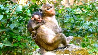 Oops Whats Wrong On Mother Made Baby Crying So Loudly Like That, Mother Just Warming Up Her Baby..