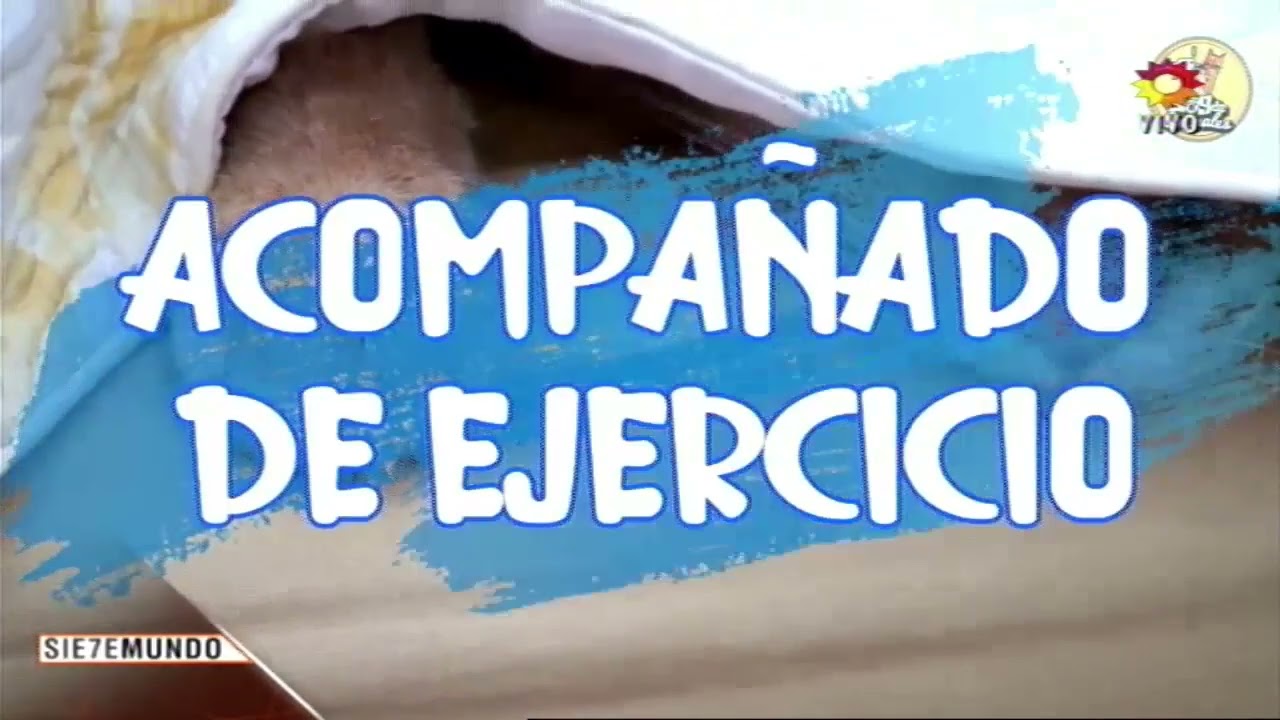 La diabetes en los gatos
