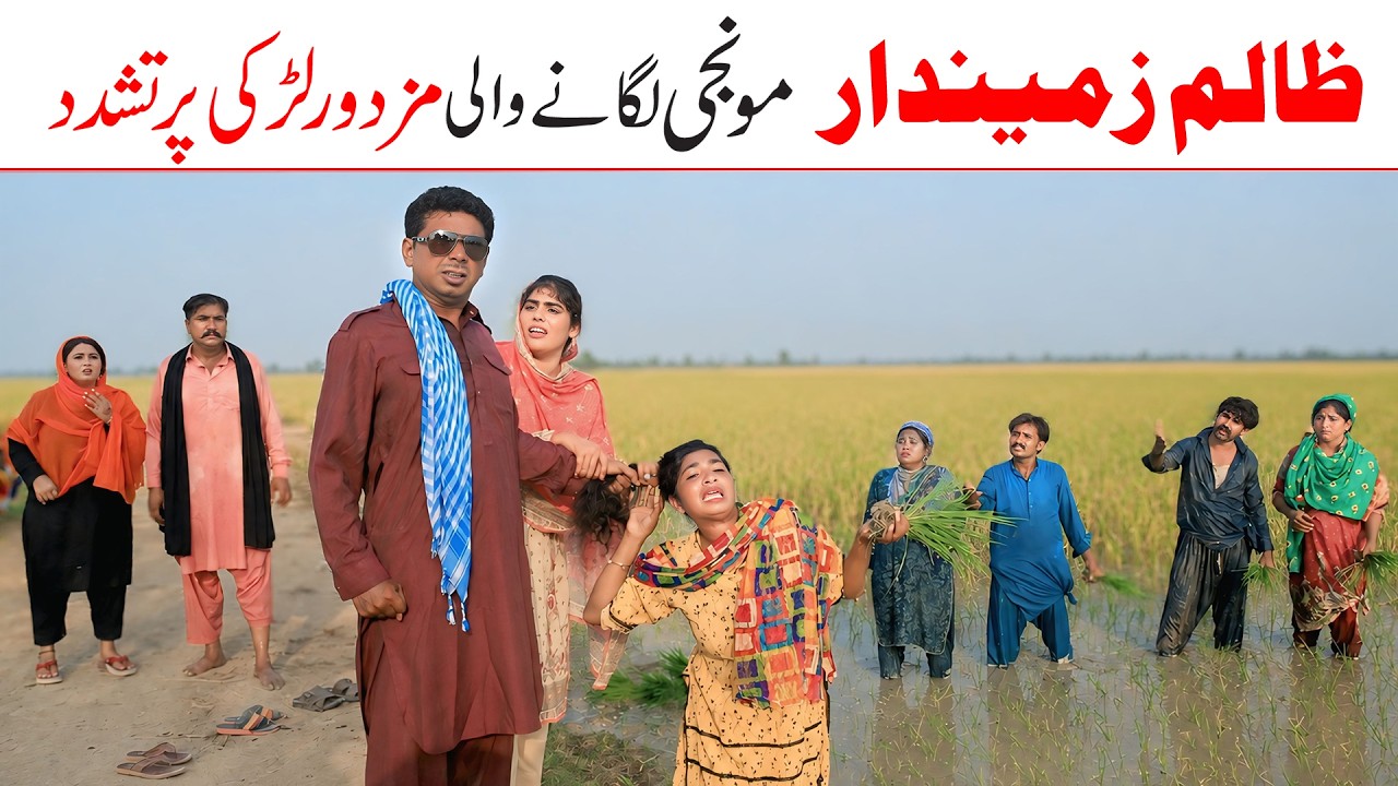 Agriculture | Ramzi,Noori, Bilo,Shoki, Sanam,Jannat,Falak Sher,Funny Video  Rachnavi Tv